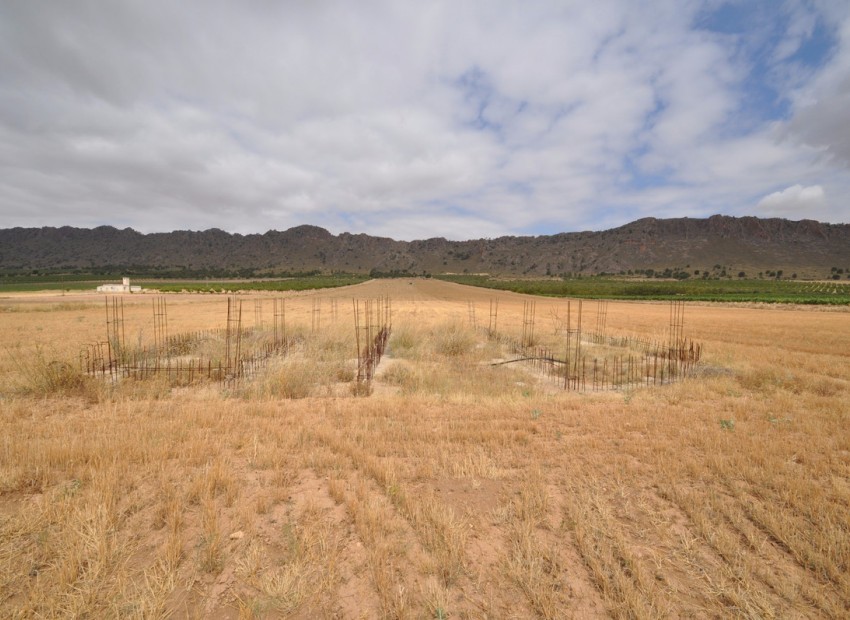 A Vendre - Terre - Yecla - Yecla Centro