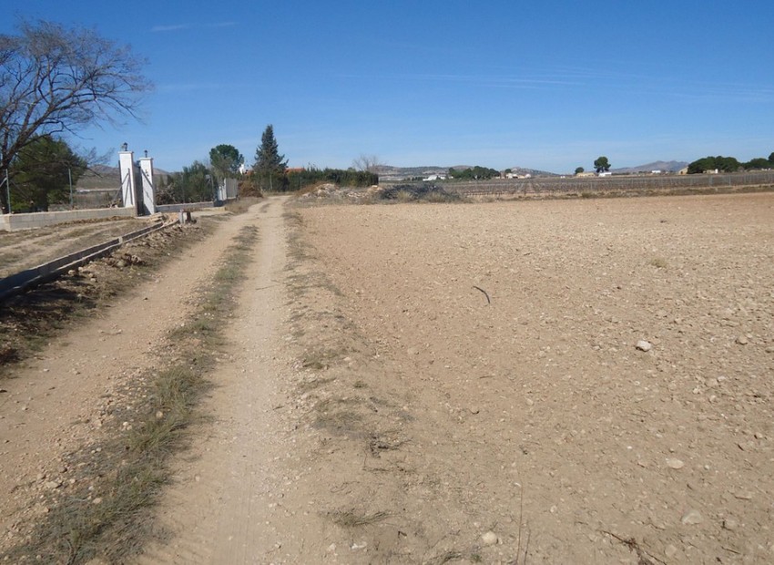 A Vendre - Terre - Yecla - Yecla Centro