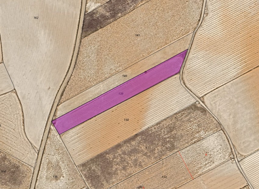 A Vendre - Terre - Yecla - Yecla Centro