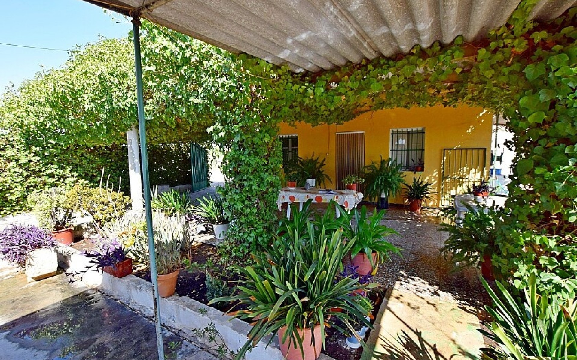 A Vendre - Villa - Albatera - Albatera Centro