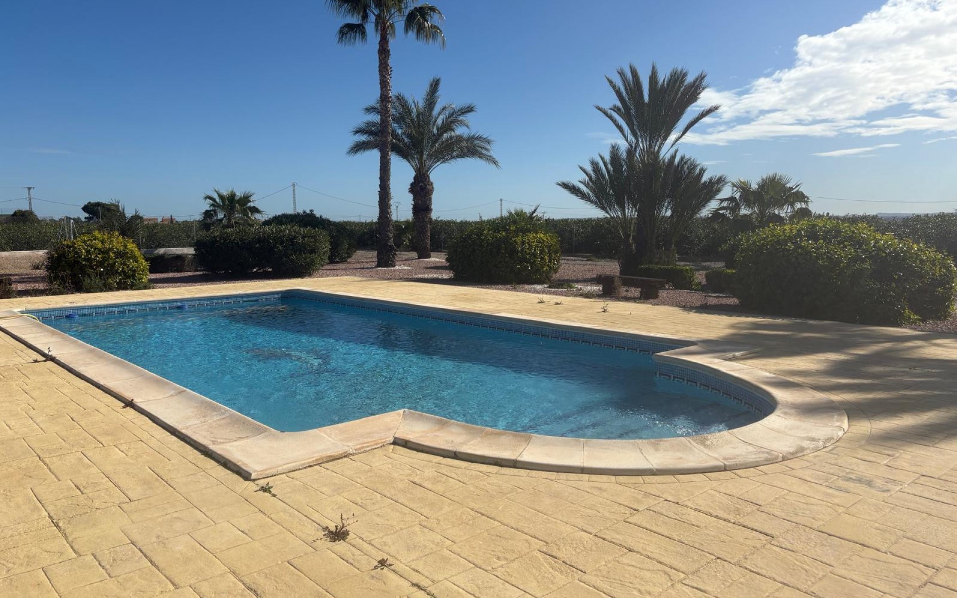 A Vendre - Villa - Albatera