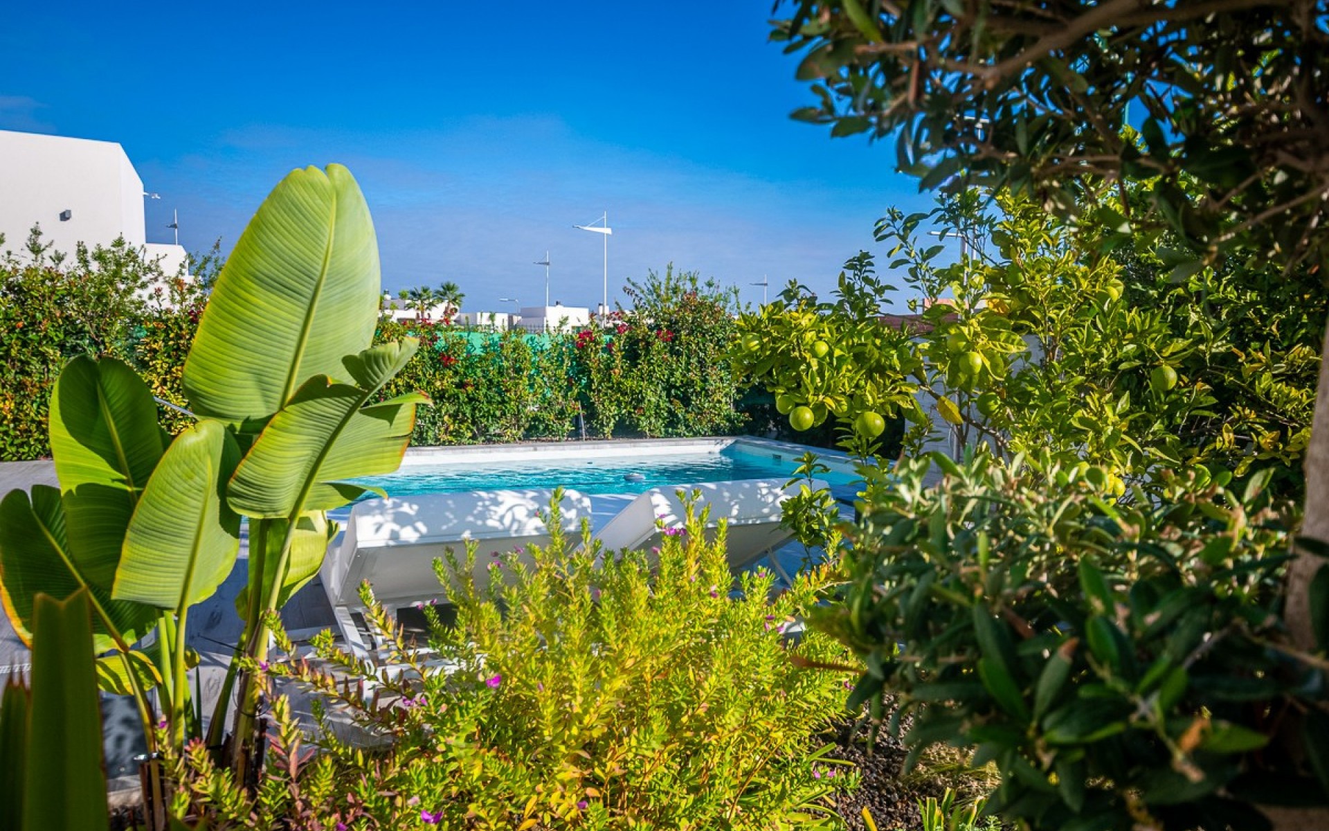 A Vendre - Villa - Algorfa - Algorfa Centro