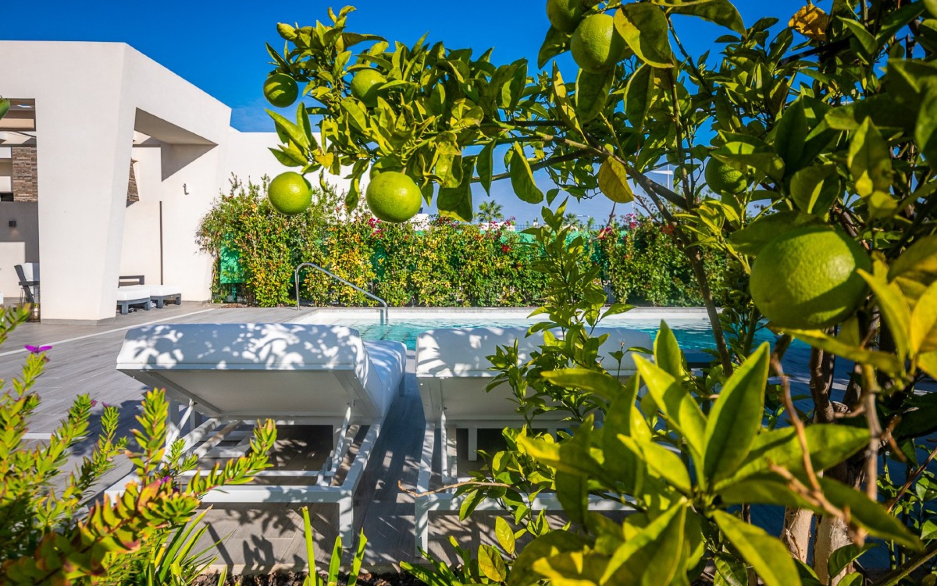 A Vendre - Villa - Algorfa - Algorfa Centro