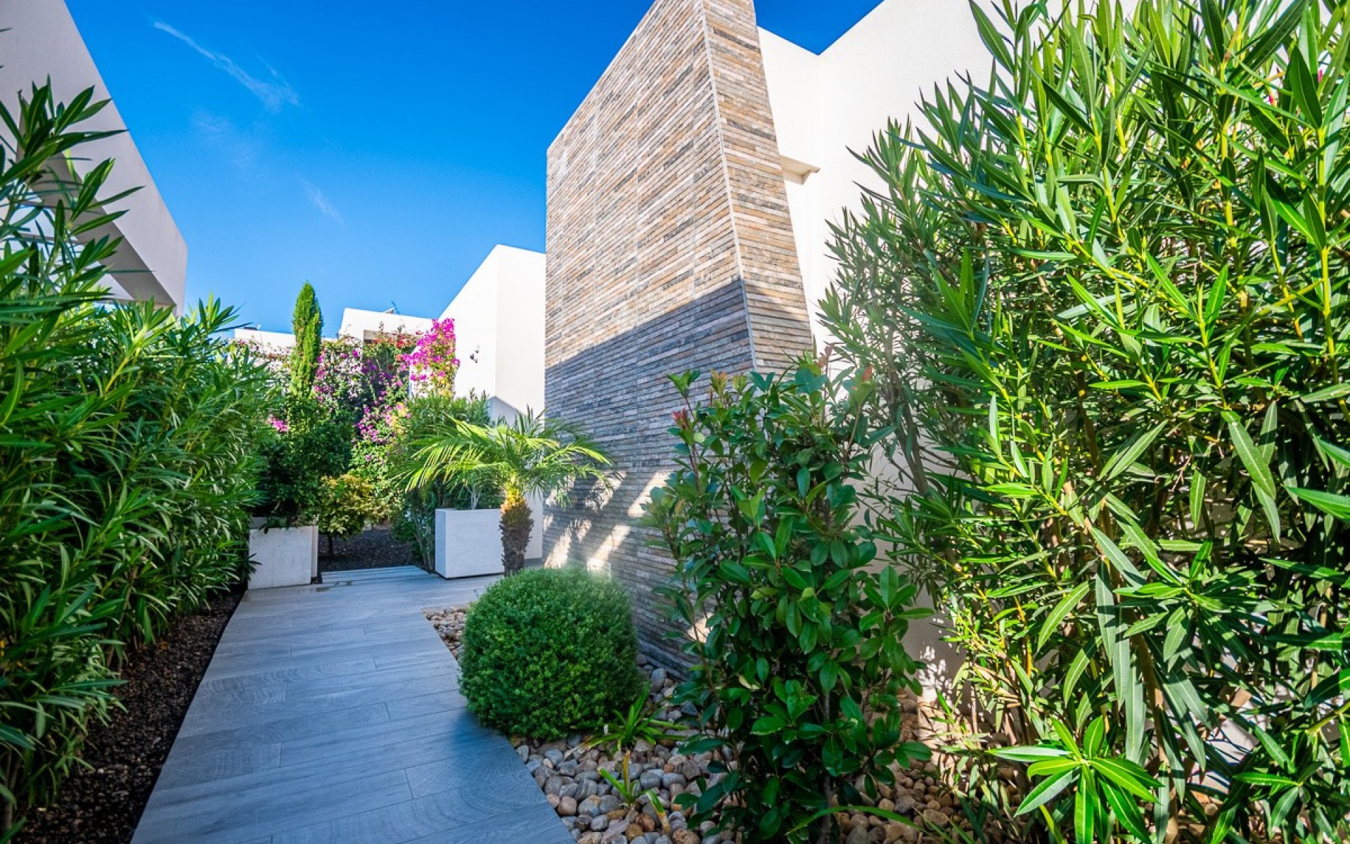 A Vendre - Villa - Algorfa - Algorfa Centro