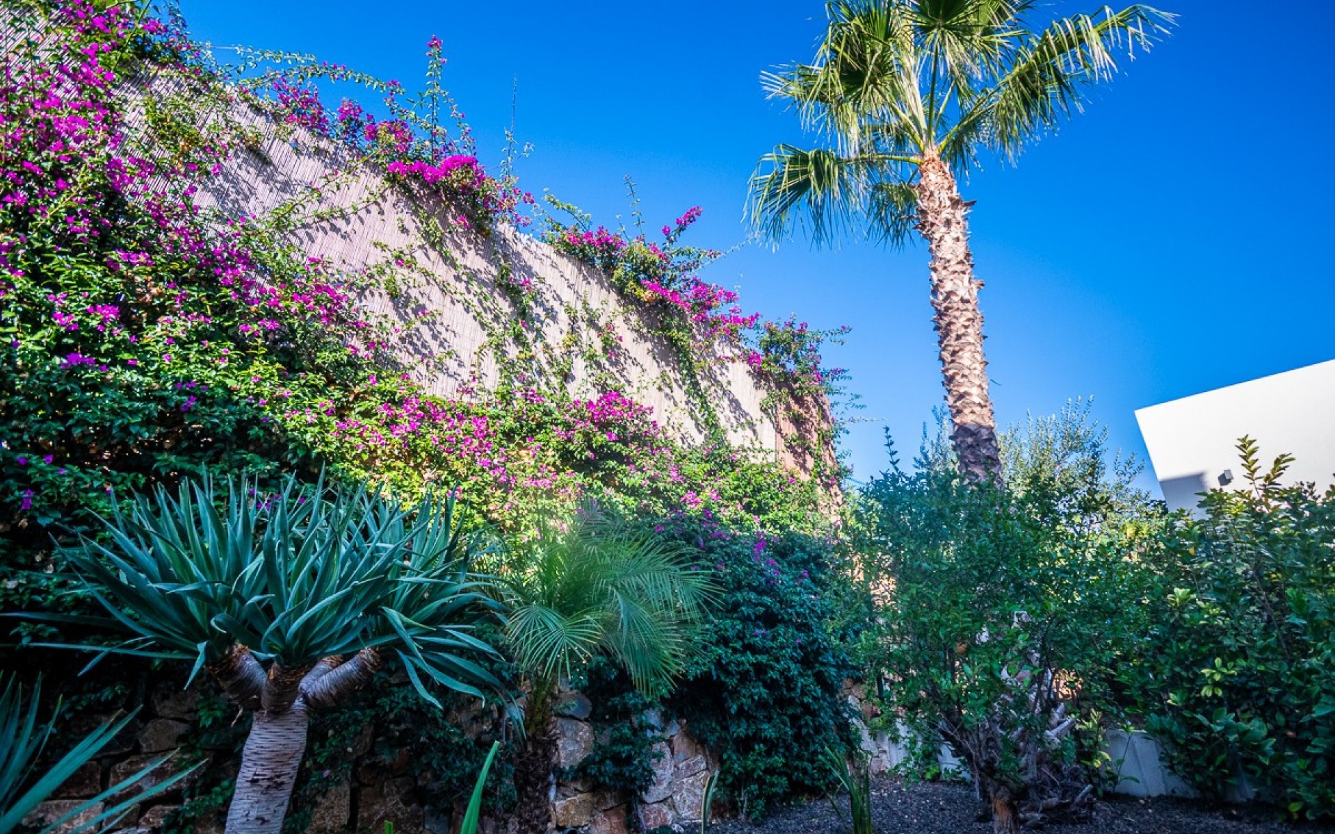 A Vendre - Villa - Algorfa - Algorfa Centro