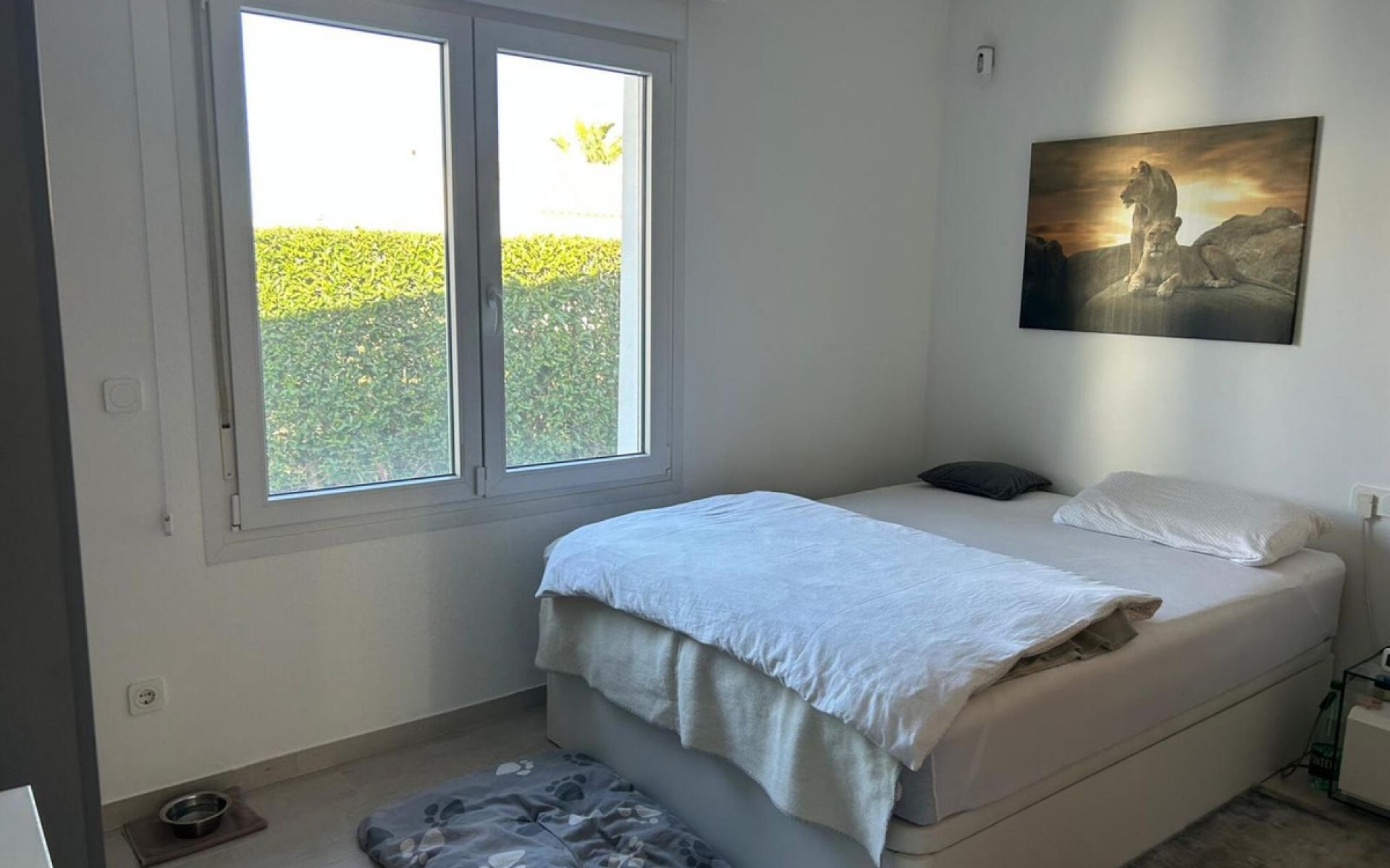 A Vendre - Villa - Algorfa - Algorfa Centro