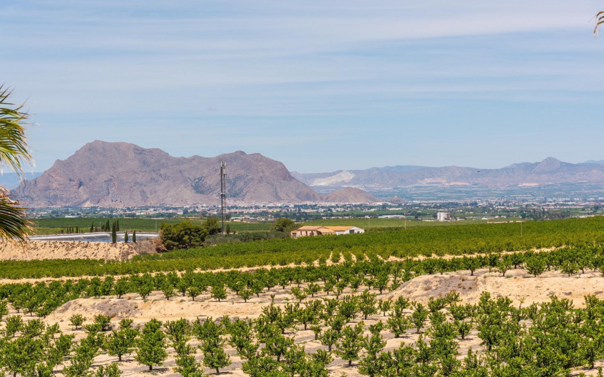 A Vendre - Villa - Algorfa - Algorfa Centro