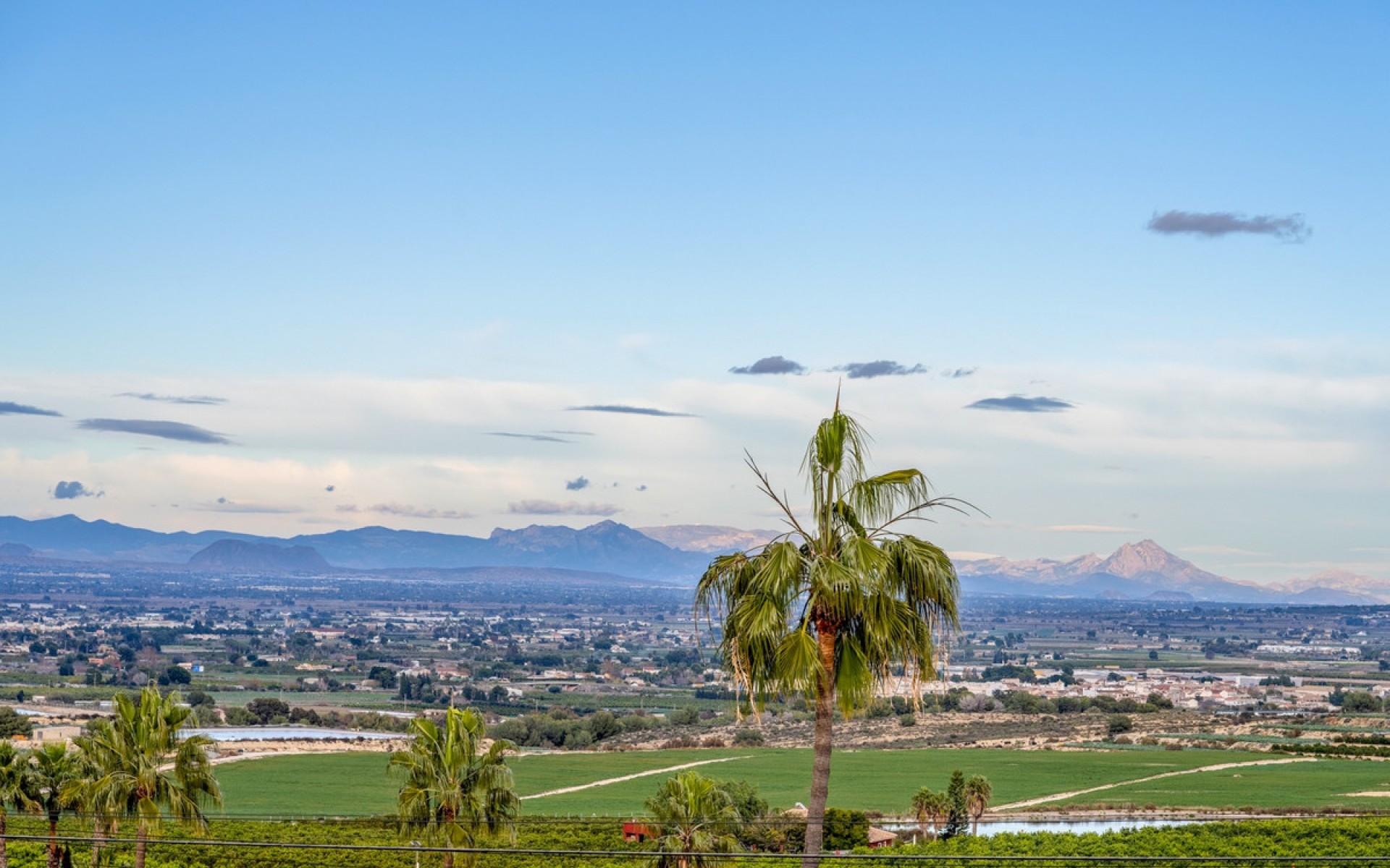 A Vendre - Villa - Algorfa - Algorfa Centro