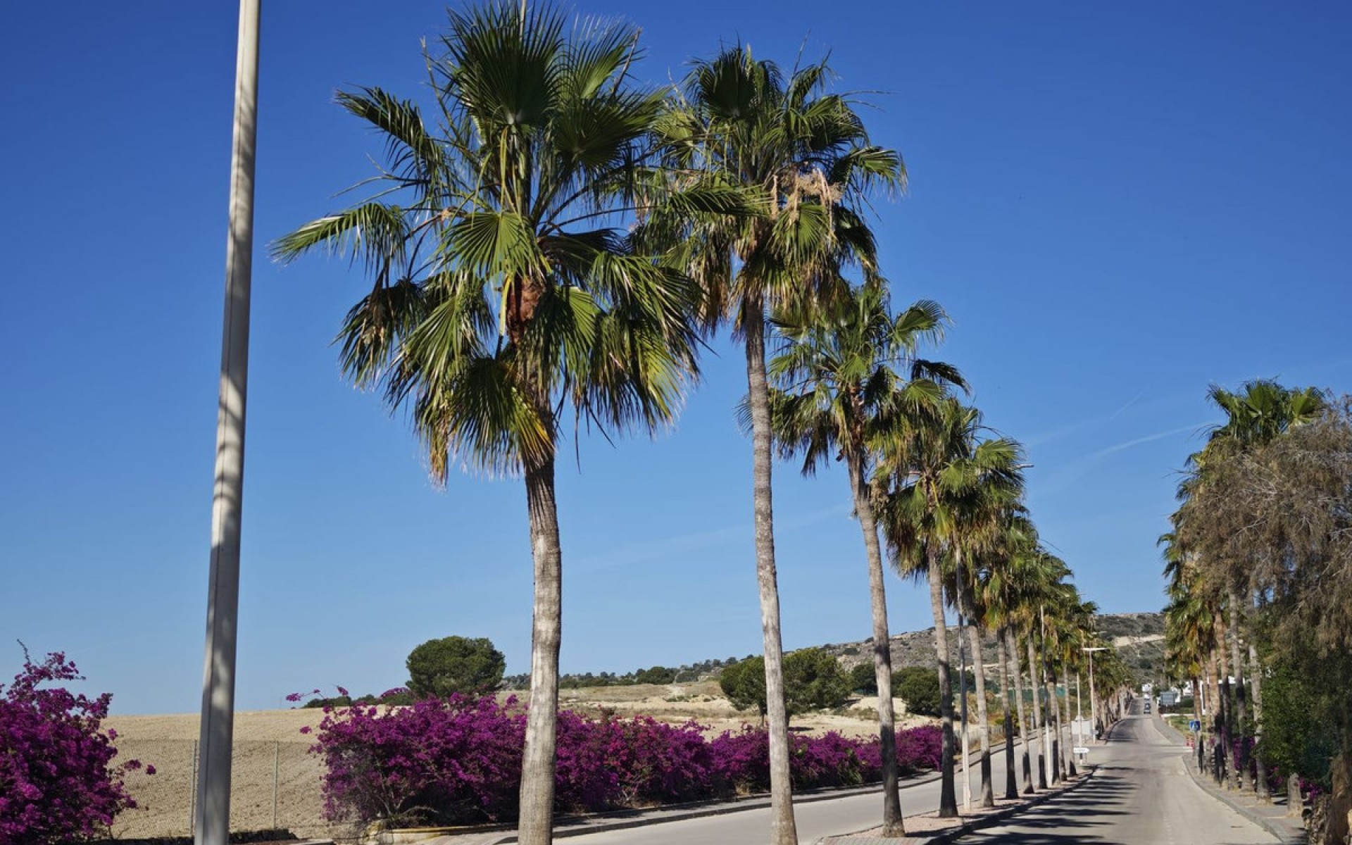 A Vendre - Villa - Algorfa - Algorfa Centro