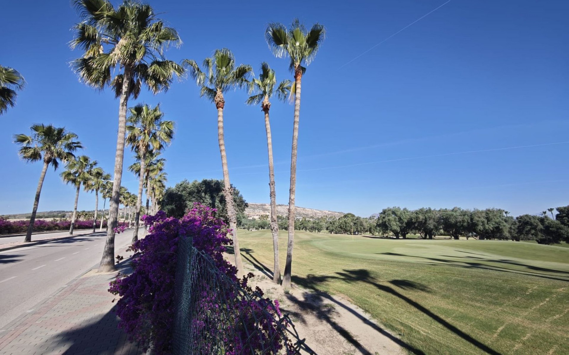 A Vendre - Villa - Algorfa - Algorfa Centro