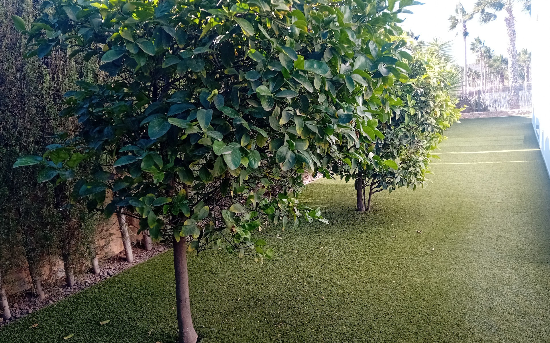 A Vendre - Villa - Algorfa - La Finca Golf