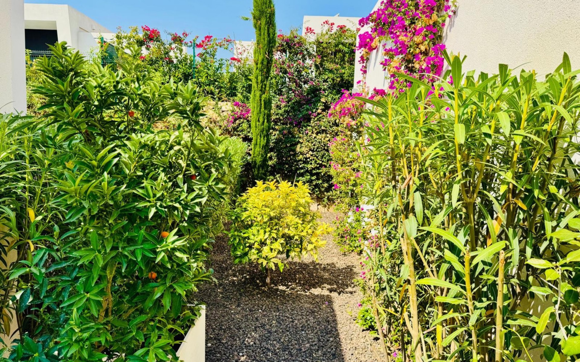 A Vendre - Villa - Algorfa - La Finca Golf