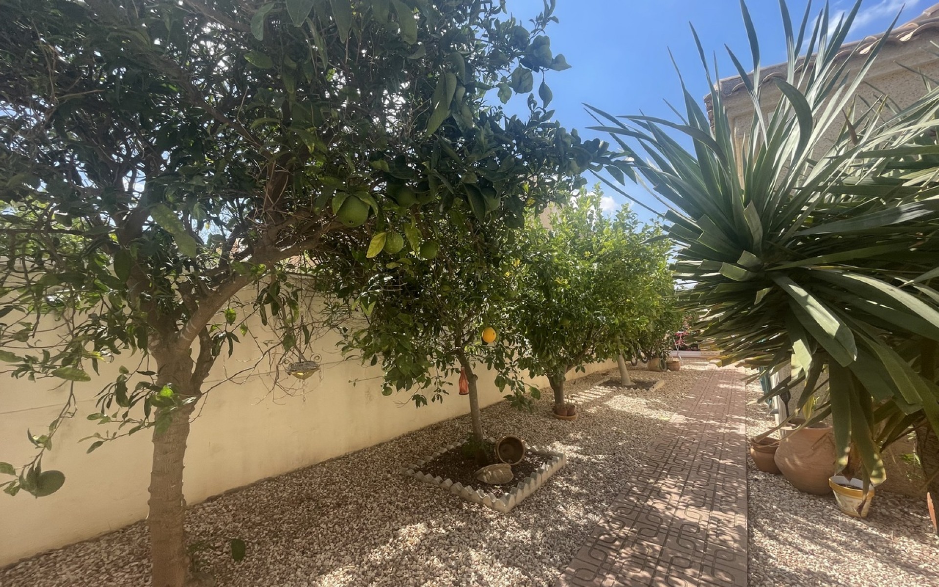 A Vendre - Villa - Algorfa