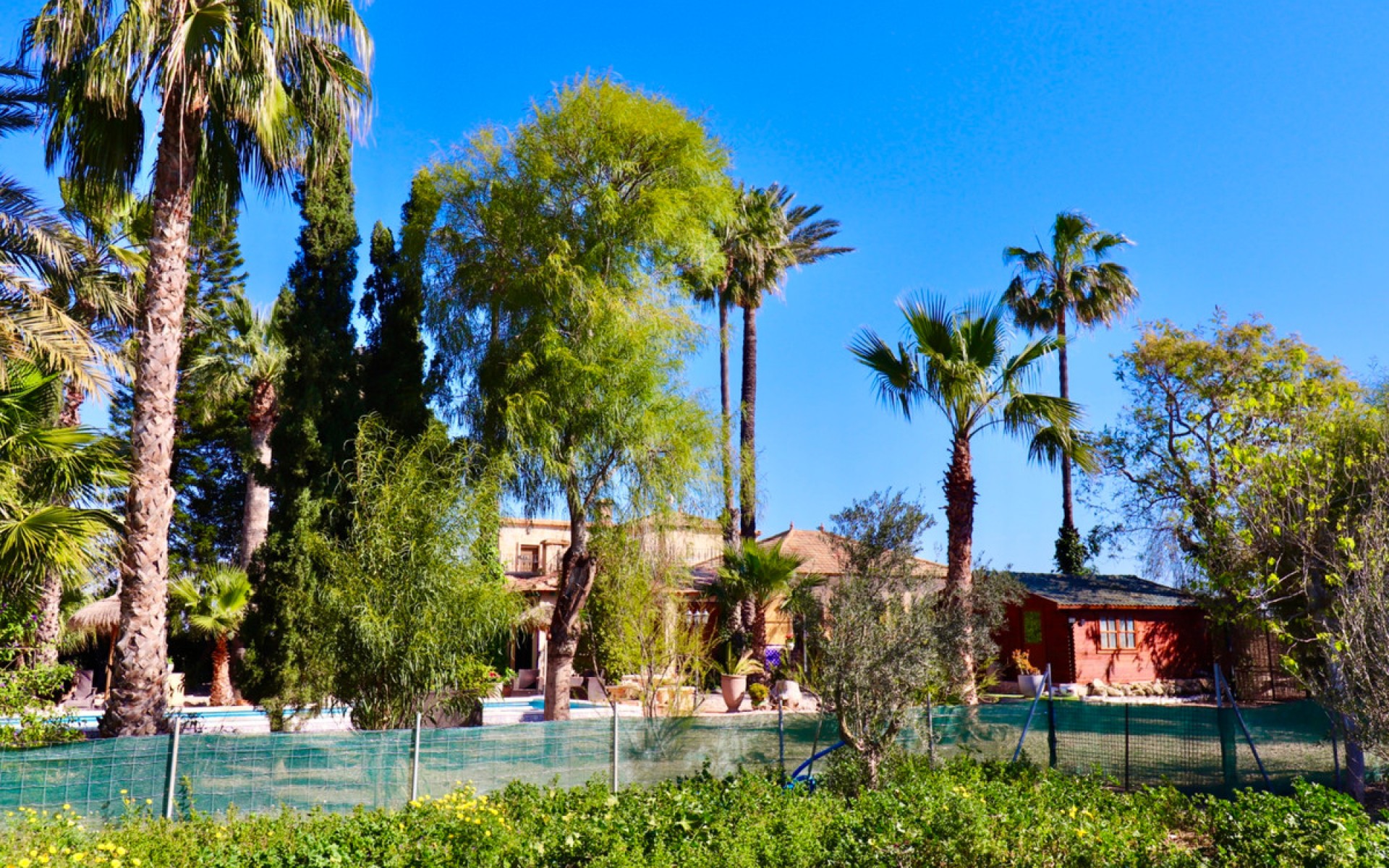 A Vendre - Villa - Almoradi - Heredades