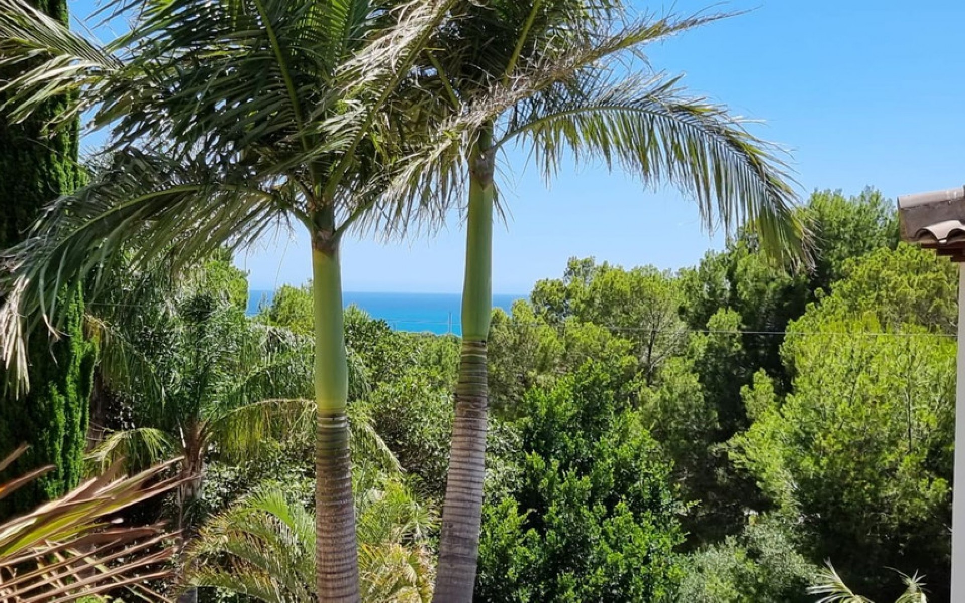 A Vendre - Villa - Altea - Altea Centro