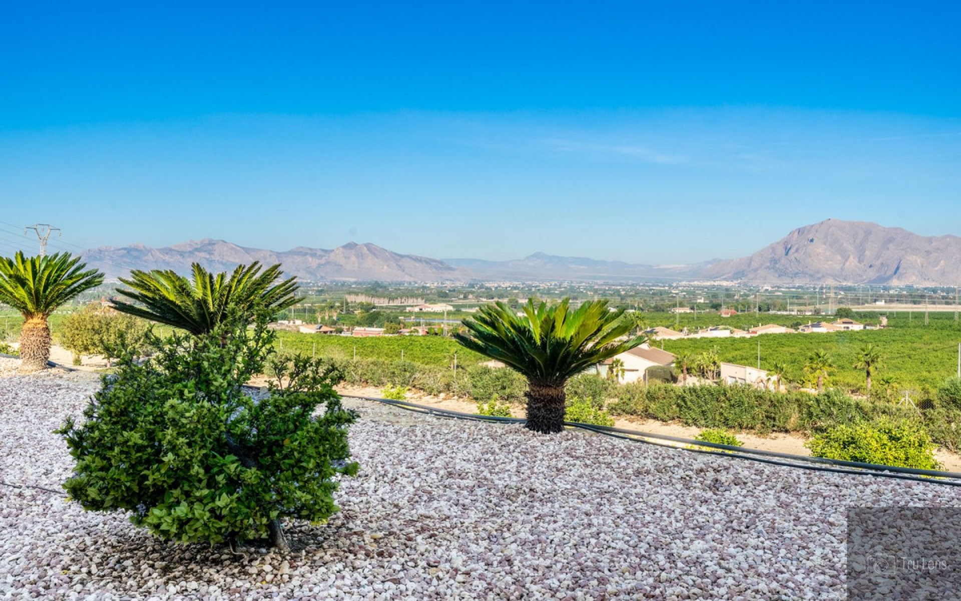 A Vendre - Villa - Benejuzar - Benejuzar Centro