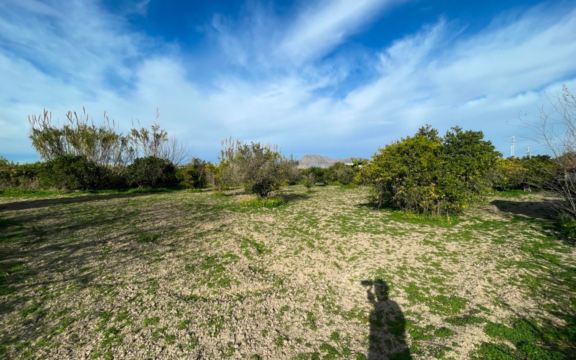 A Vendre - Villa - Benejuzar - Benejuzar Centro