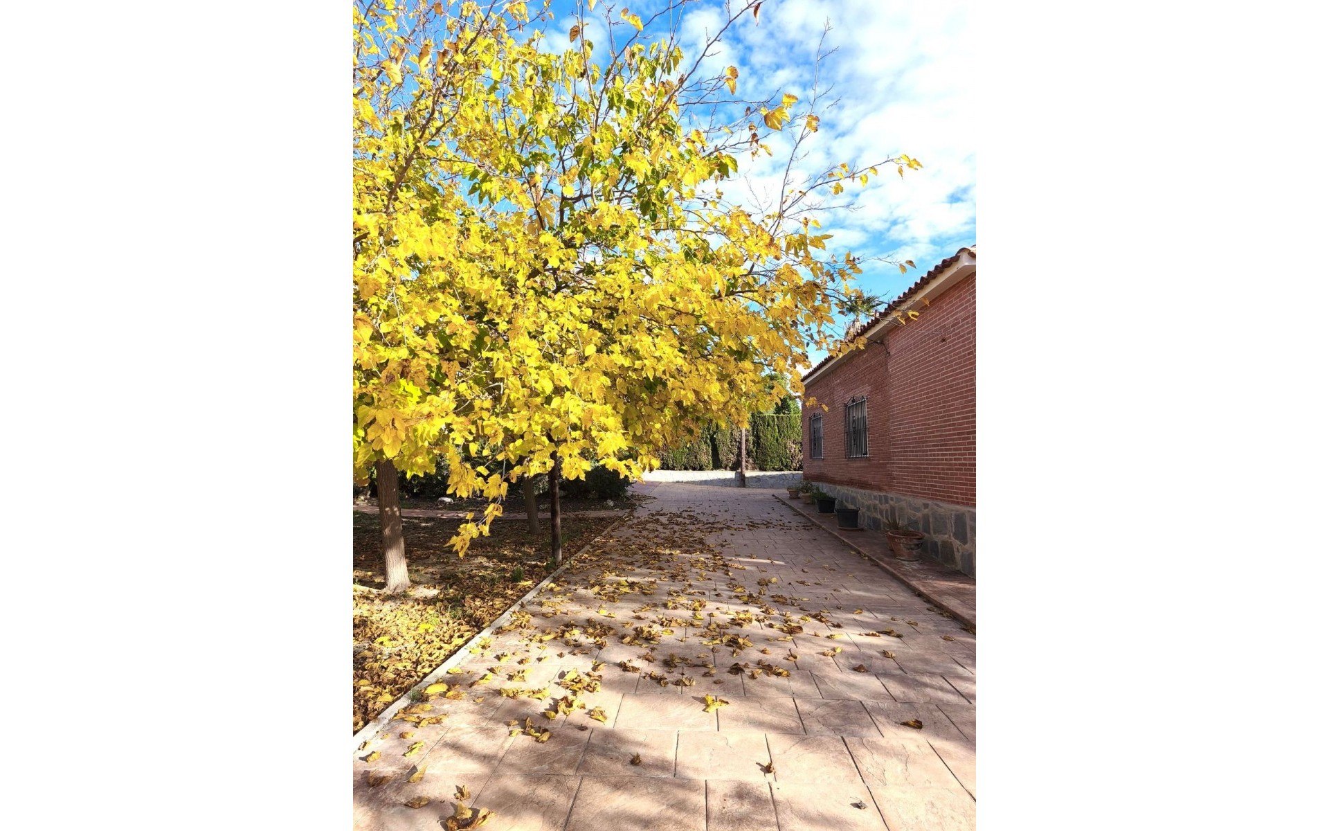 A Vendre - Villa - busot