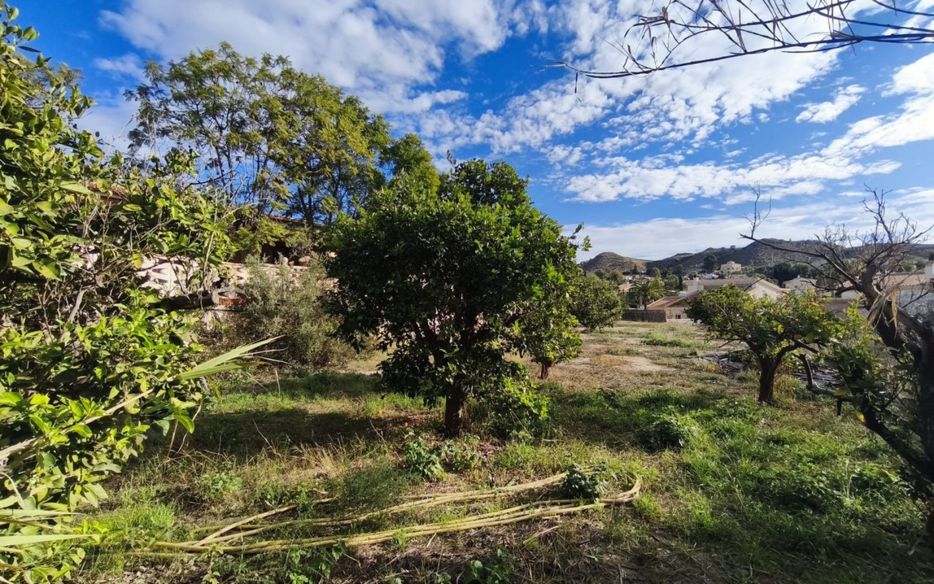 A Vendre - Villa - busot