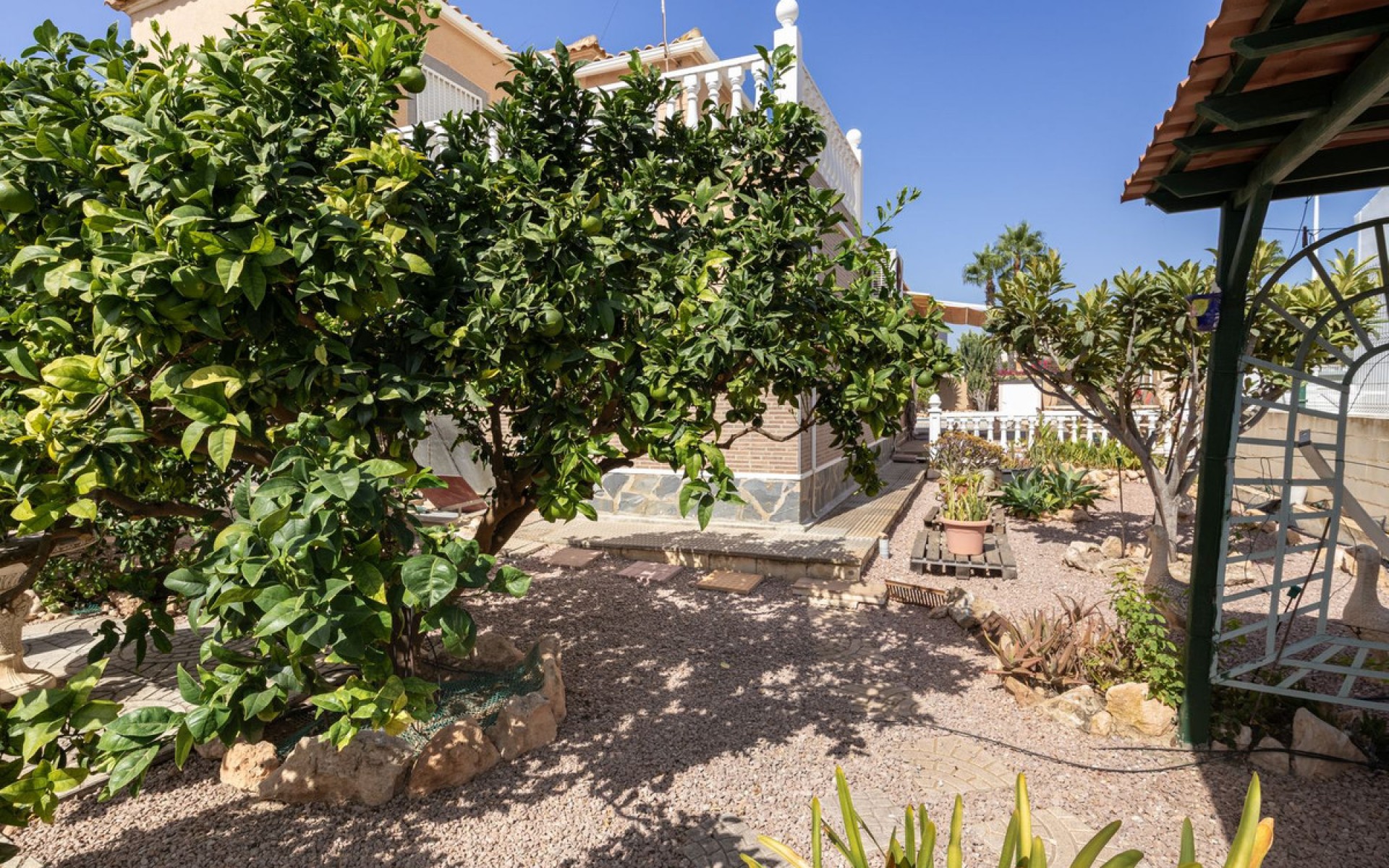 A Vendre - Villa - Cabo Roig - La Regia