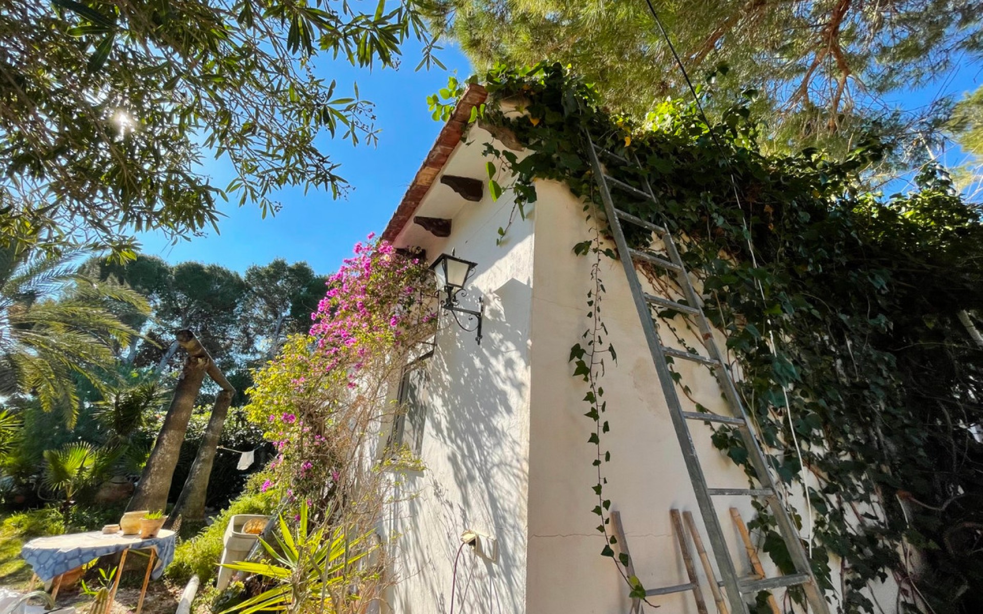 A Vendre - Villa - Cabo Roig