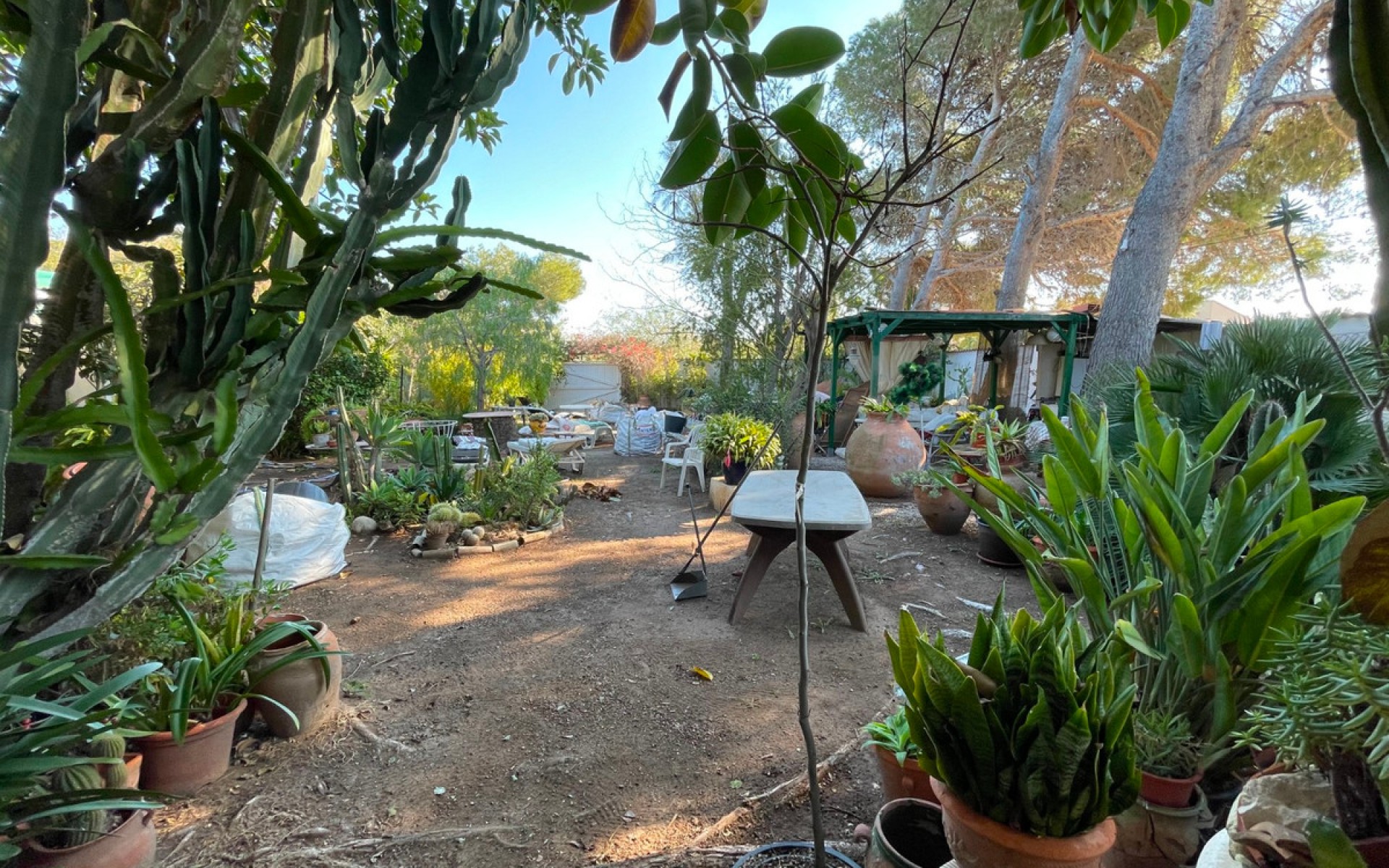 A Vendre - Villa - Cabo Roig