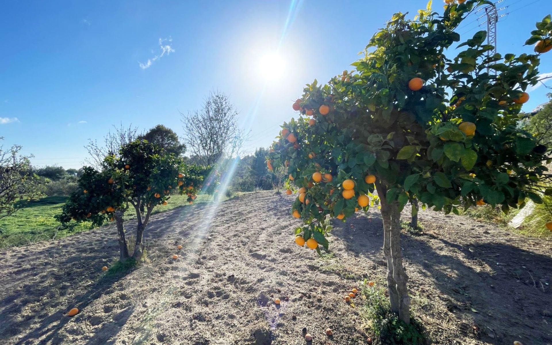 A Vendre - Villa - Calpe - Calpe Centro