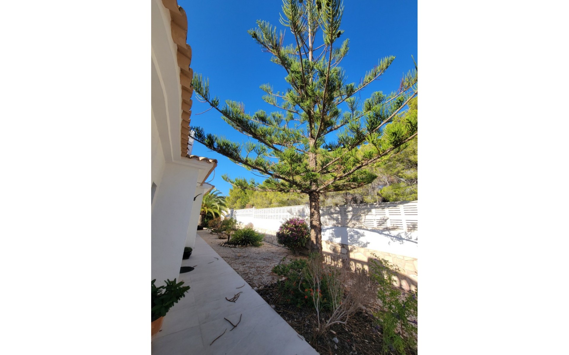A Vendre - Villa - Calpe - Calpe Centro