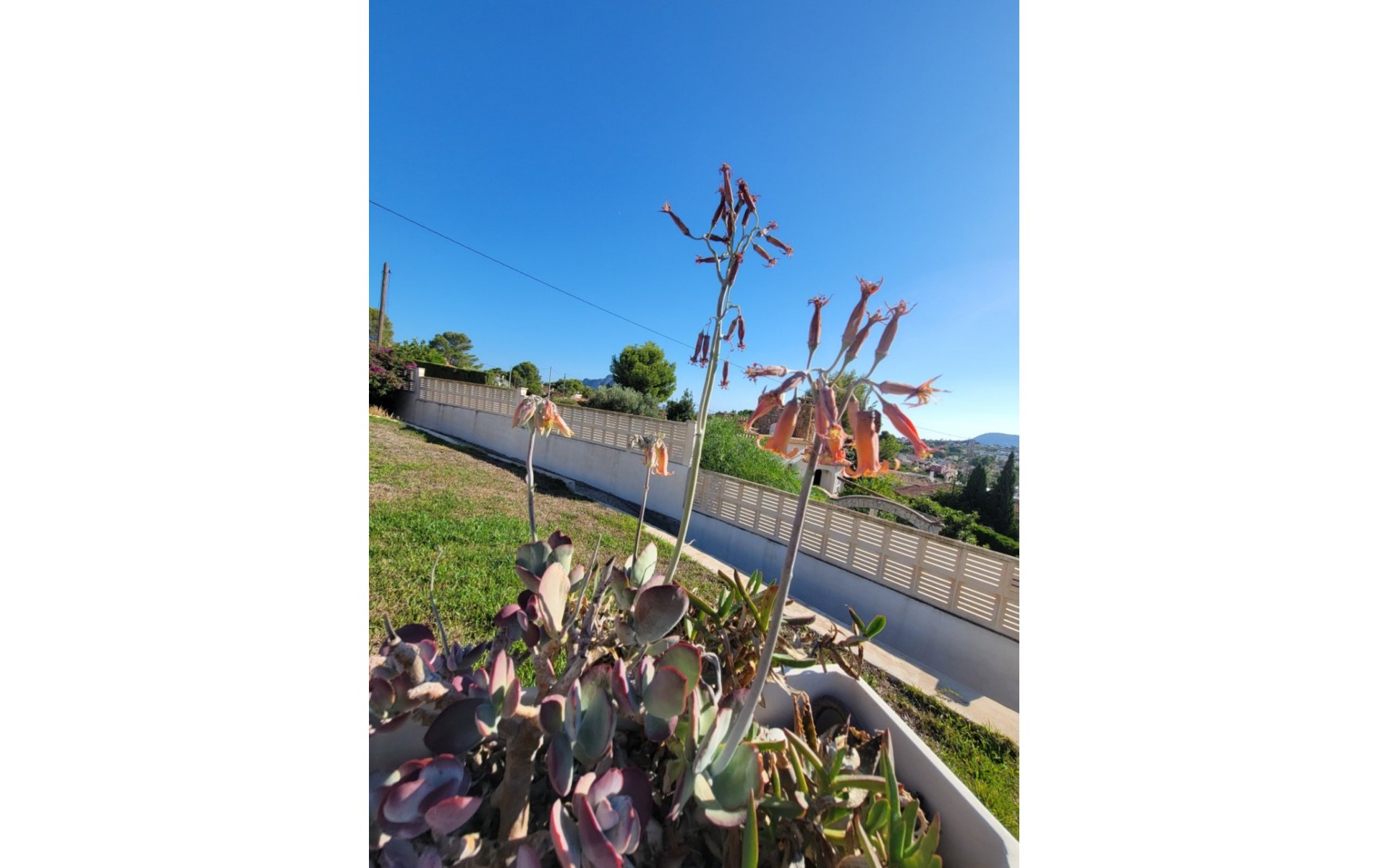 A Vendre - Villa - Calpe - Calpe Centro