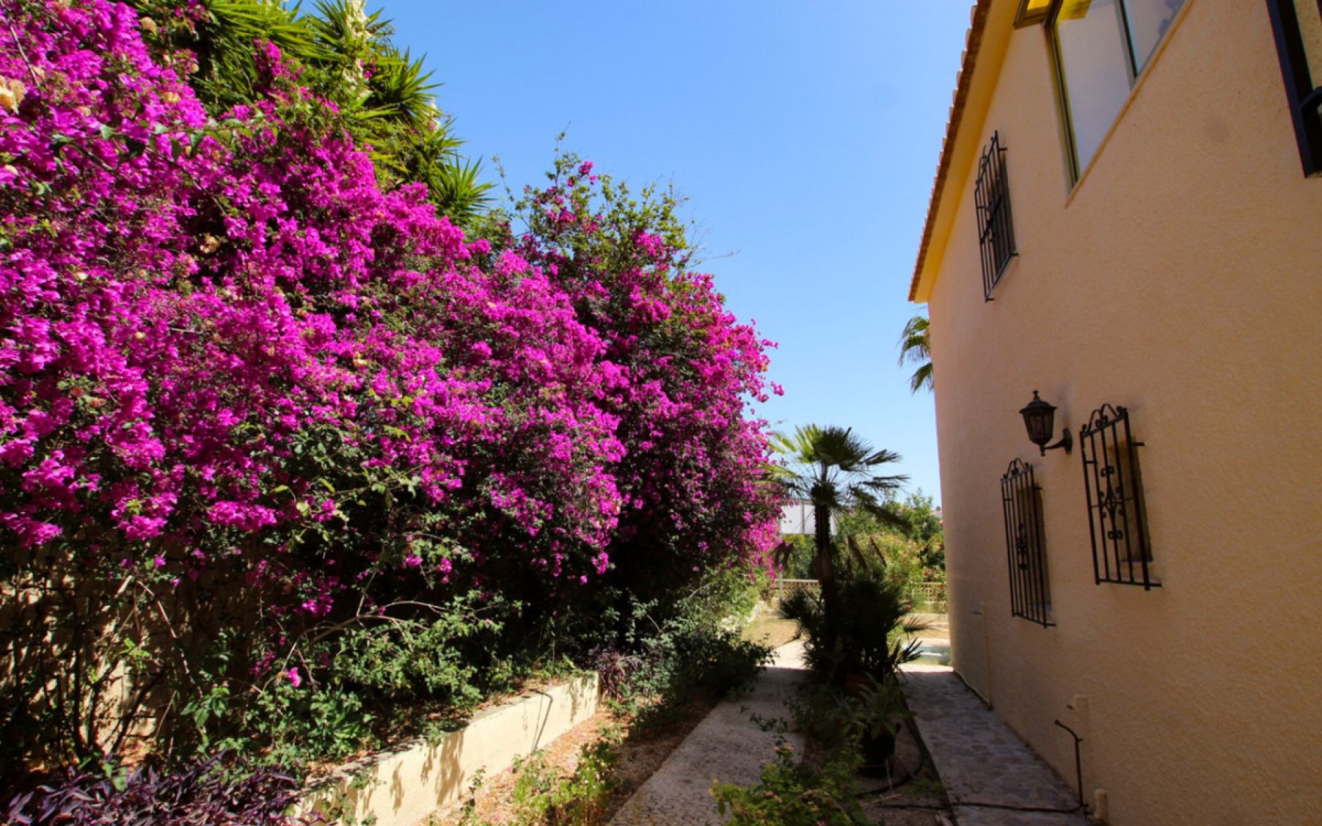 A Vendre - Villa - Calpe - Calpe Centro