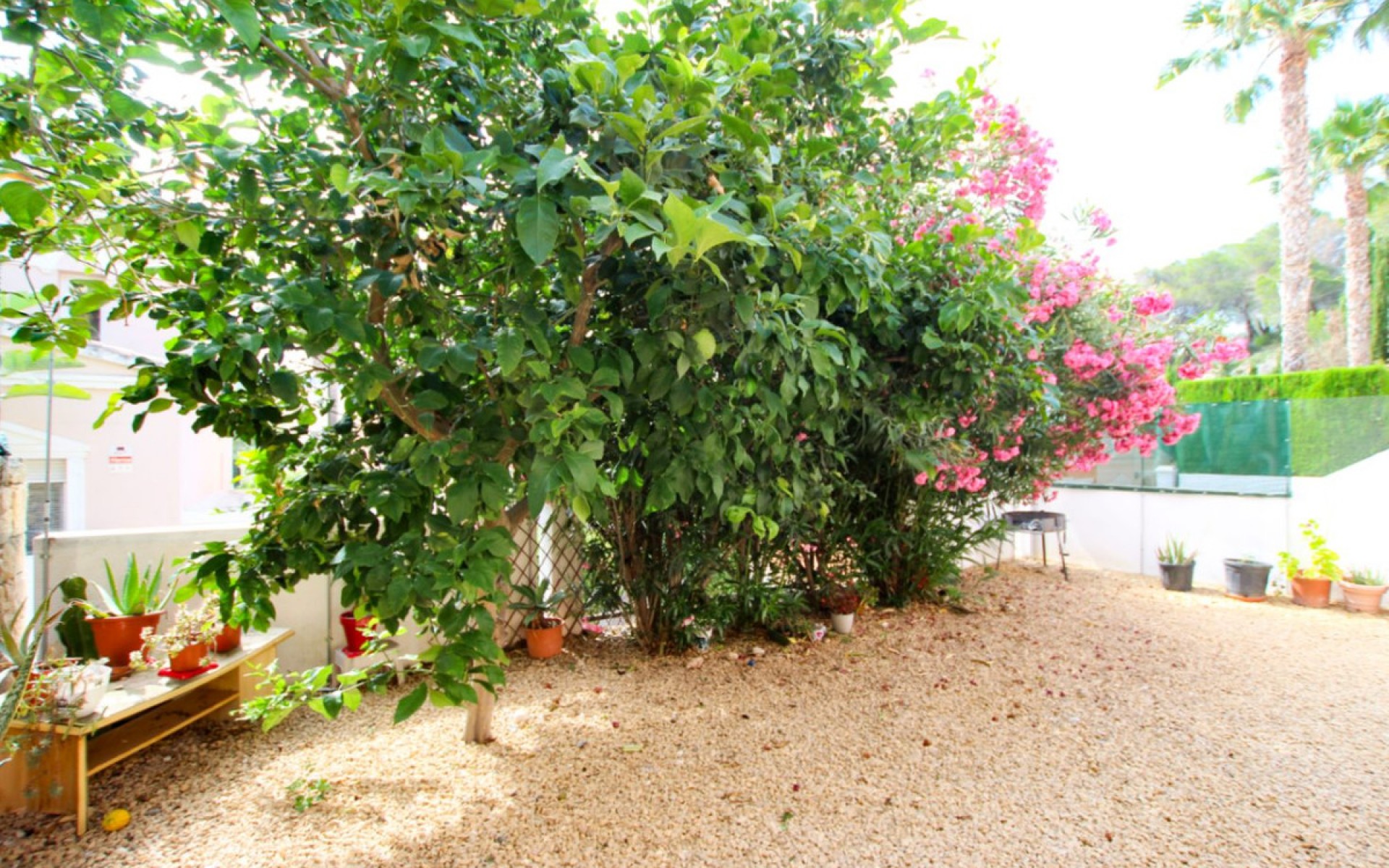 A Vendre - Villa - Calpe - Calpe Centro