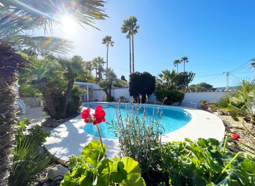 A Vendre - Villa - Calpe - Calpe Centro