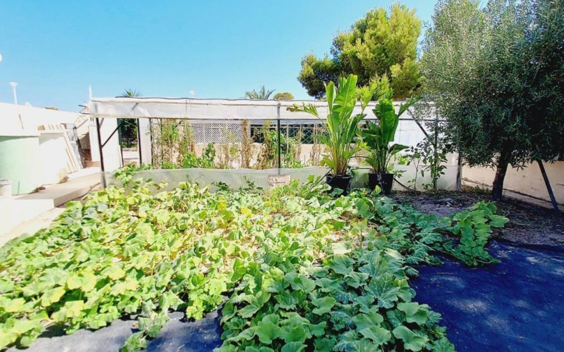 A Vendre - Villa - Campoamor