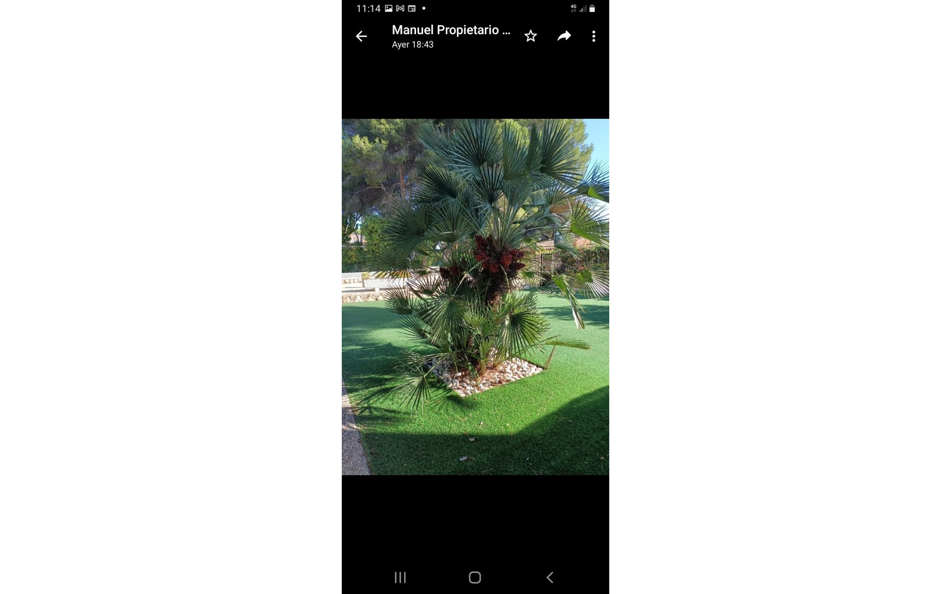 A Vendre - Villa - Campoamor