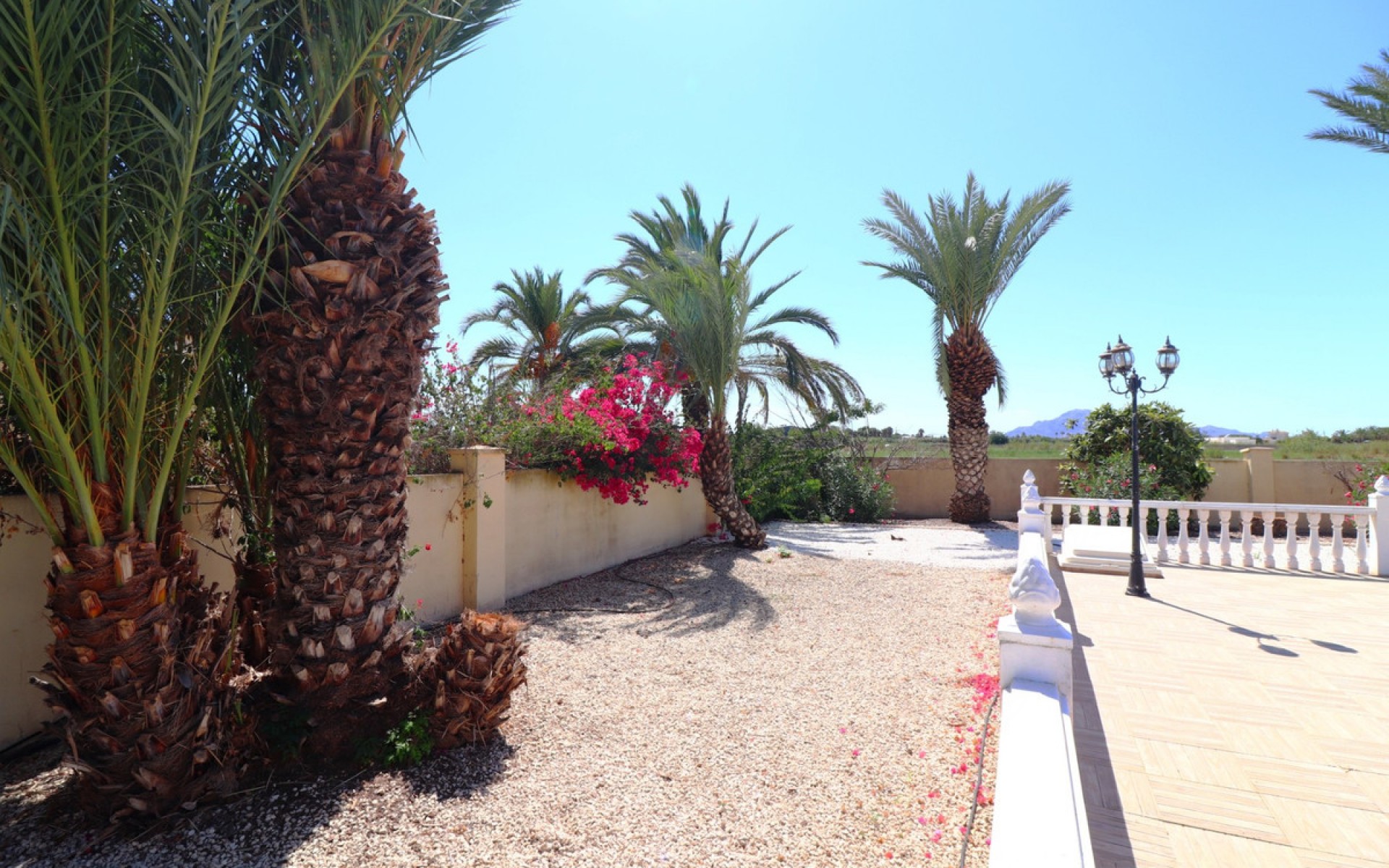 A Vendre - Villa - Catral - Catral Centro