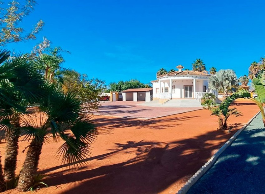 A Vendre - Villa - Catral - Catral Centro