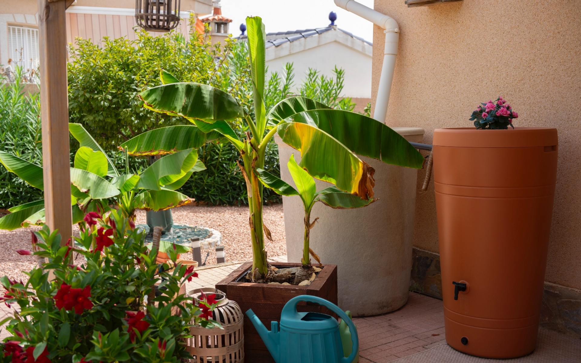 A Vendre - Villa - Ciudad Quesada - Town Center