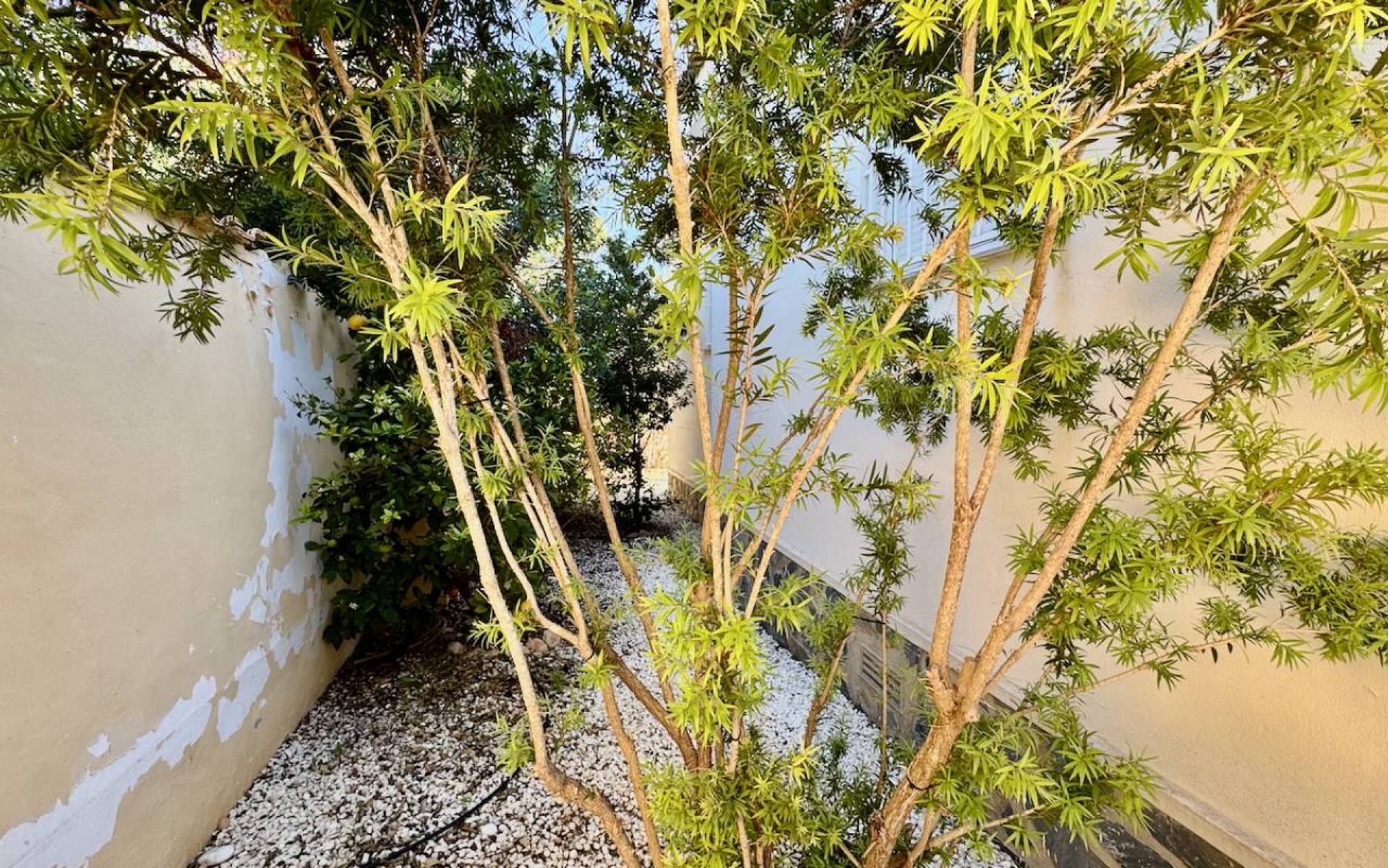 A Vendre - Villa - Ciudad Quesada