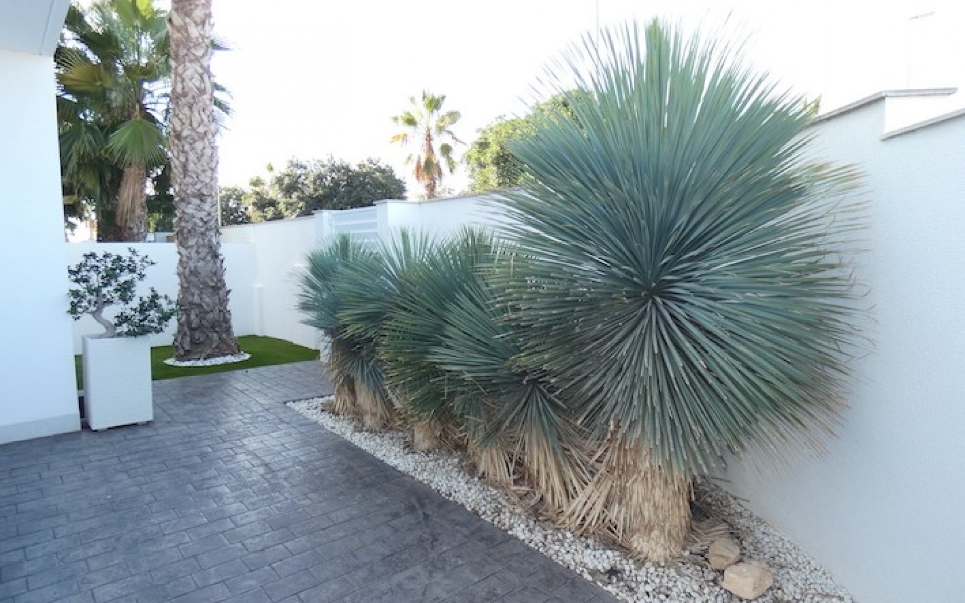 A Vendre - Villa - Ciudad Quesada