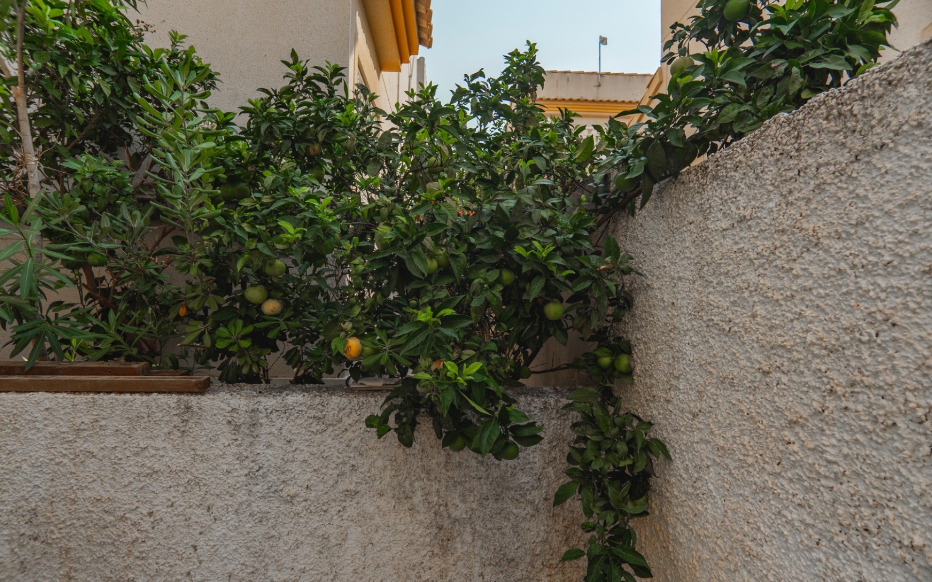 A Vendre - Villa - Ciudad Quesada