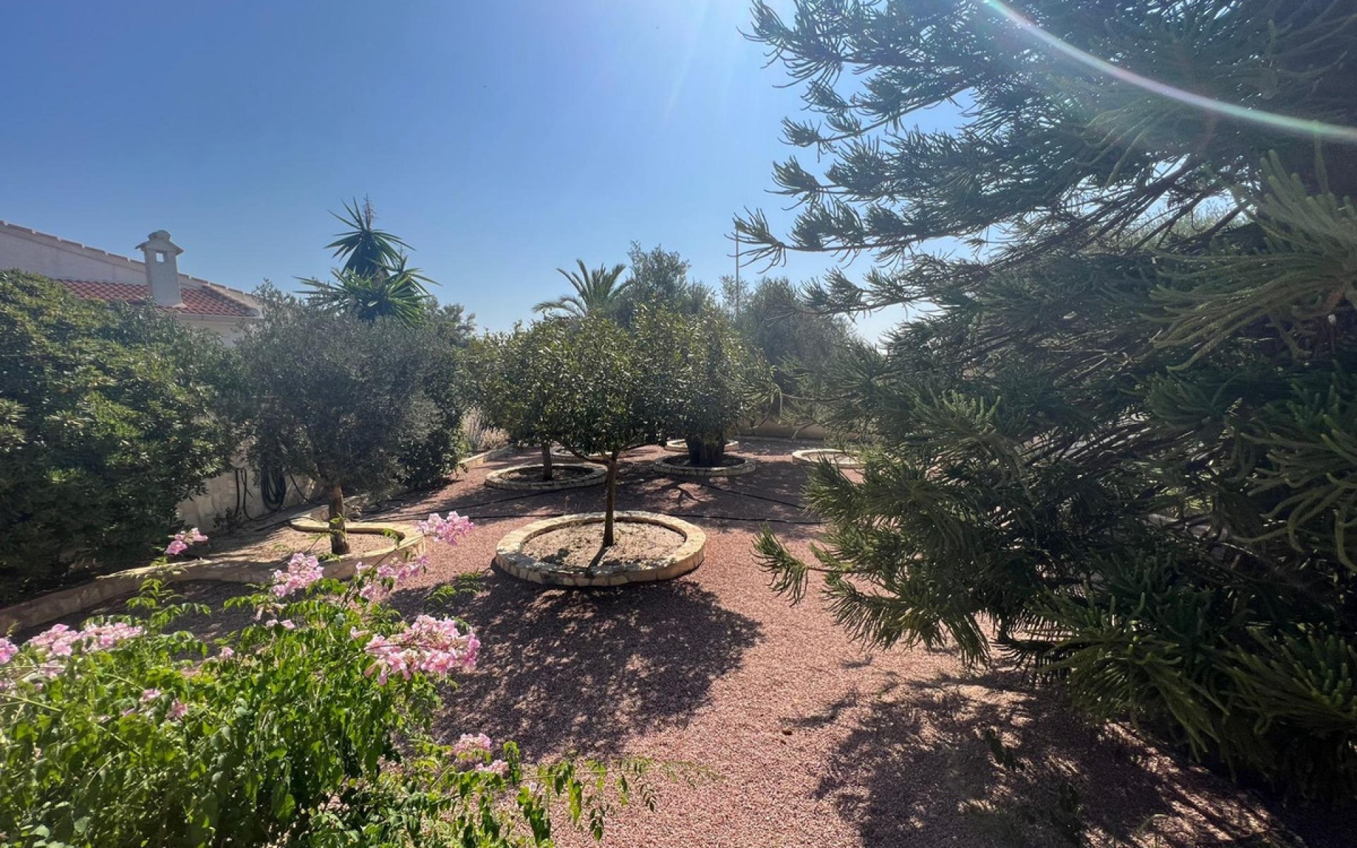 A Vendre - Villa - Ciudad Quesada