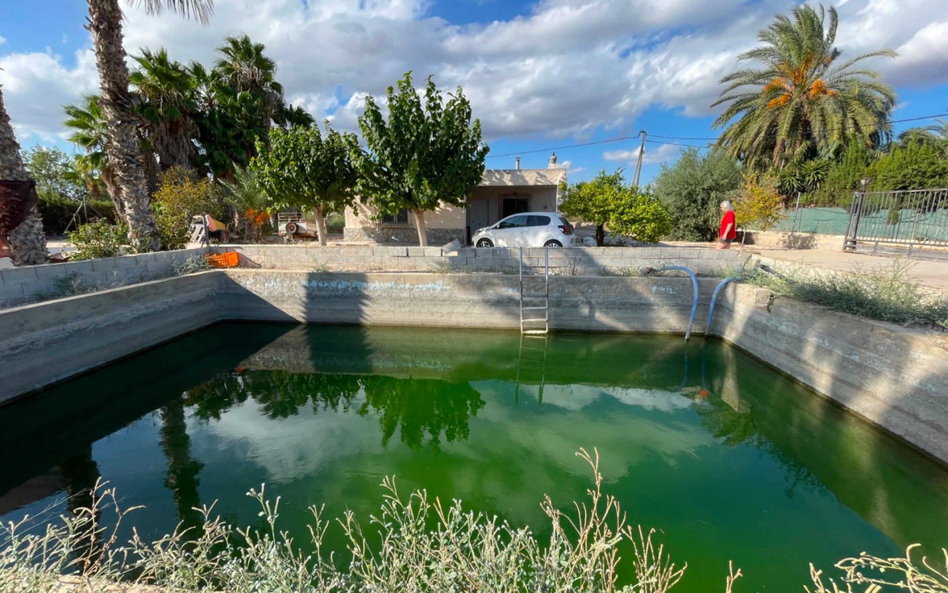 A Vendre - Villa - Crevillente - Crevillent - Crevillente - Crevillent Centro