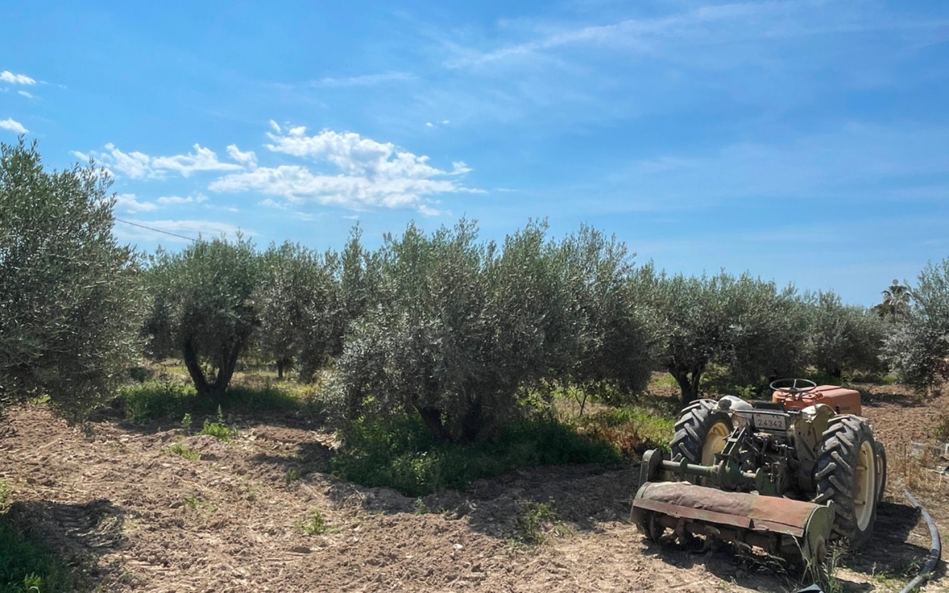 A Vendre - Villa - Crevillente - Crevillent - Crevillente - Crevillent Centro