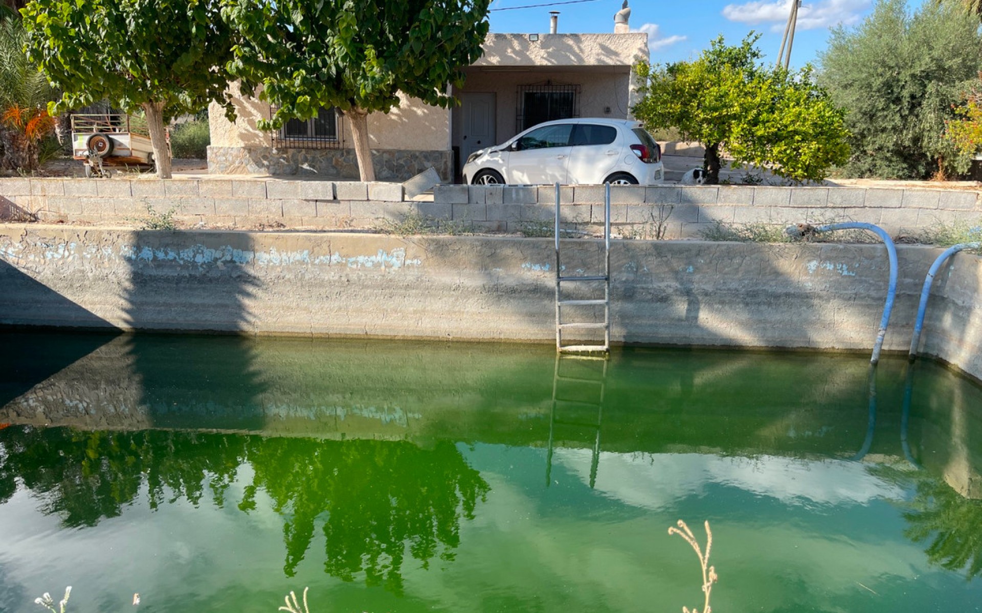 A Vendre - Villa - Crevillente - Crevillent - Crevillente - Crevillent Centro