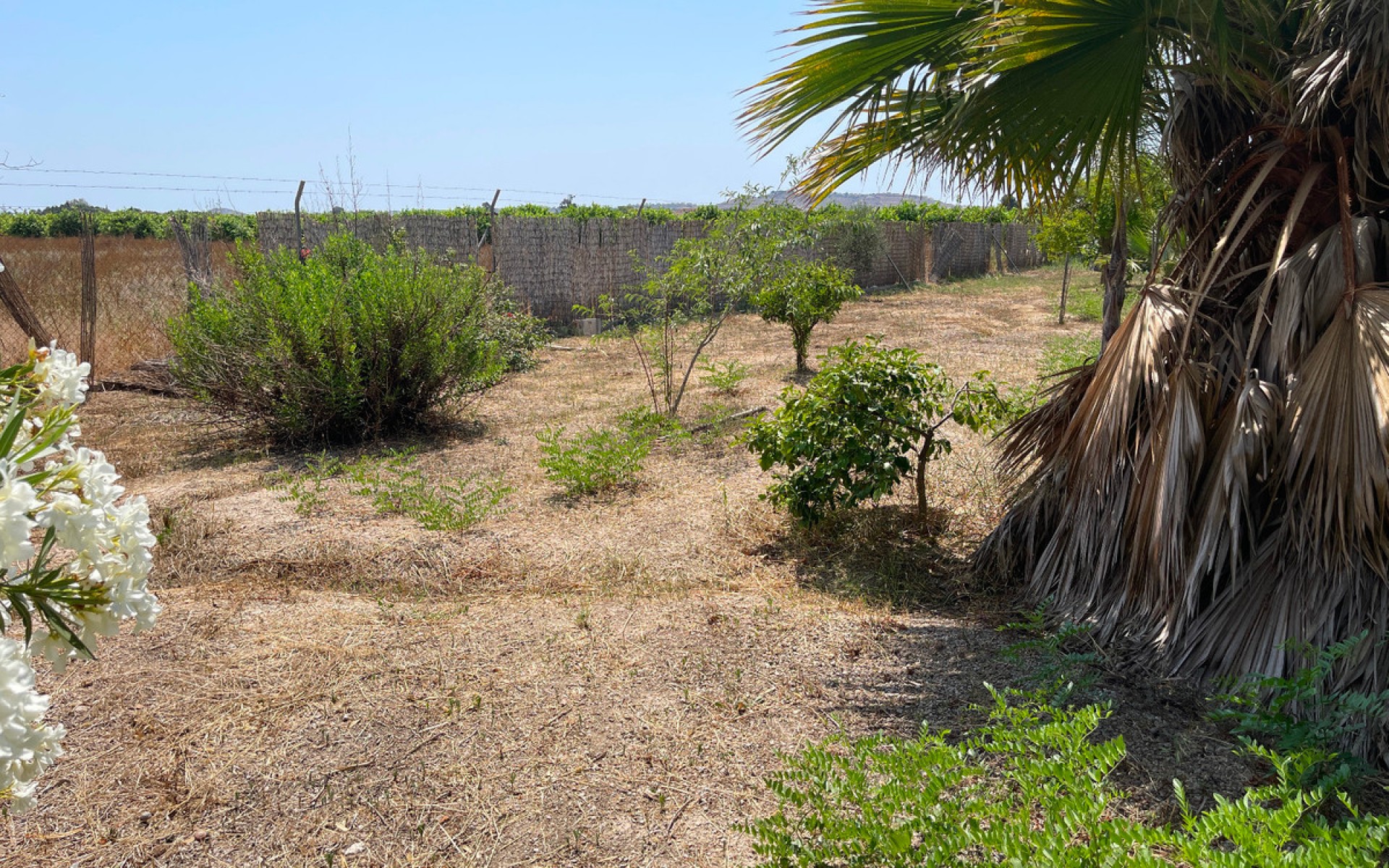 A Vendre - Villa - Daya Nueva - Daya Nueva Centro