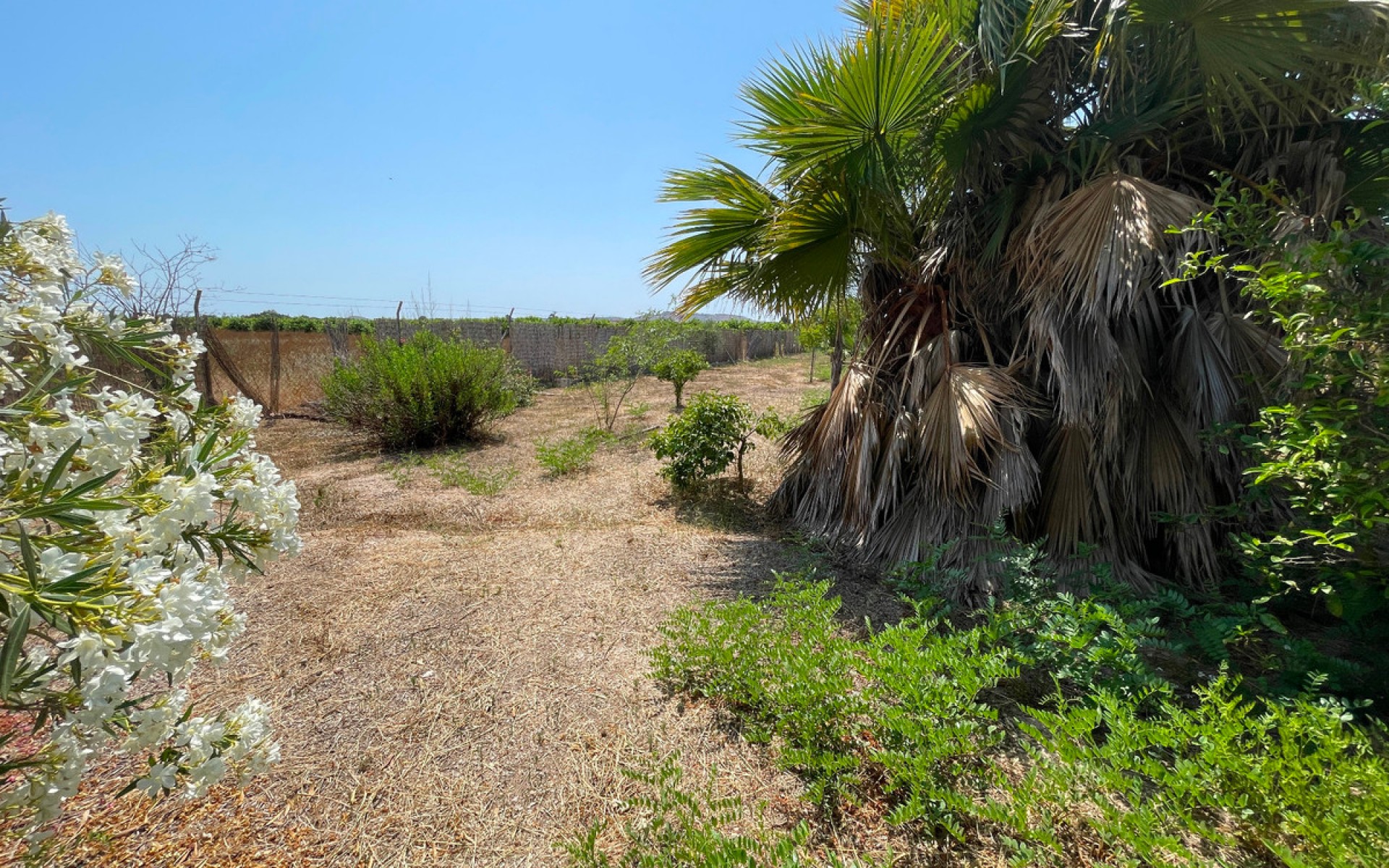 A Vendre - Villa - Daya Nueva - Daya Nueva Centro