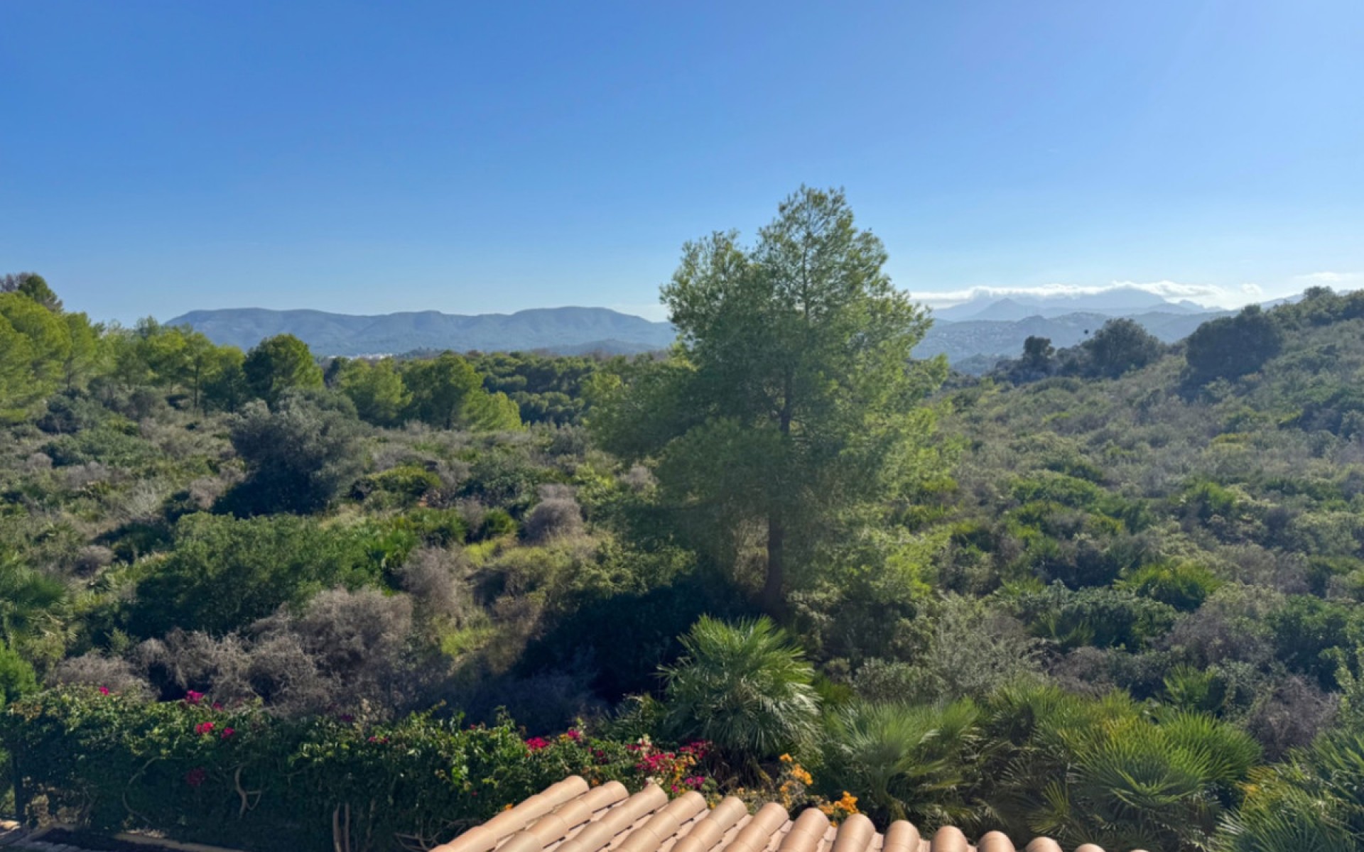 A Vendre - Villa - Dénia - Denia Centro