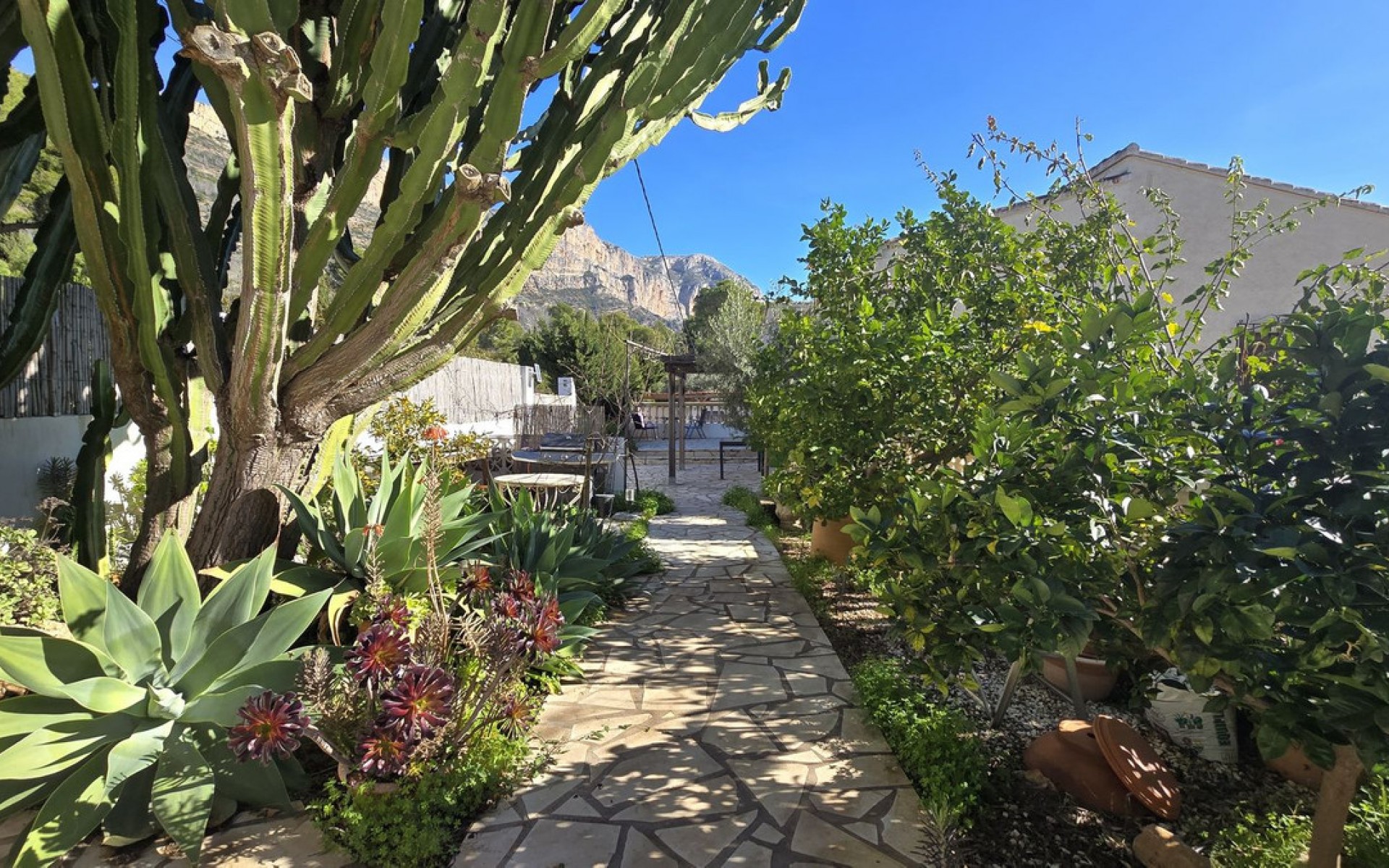 A Vendre - Villa - Dénia - Denia Centro