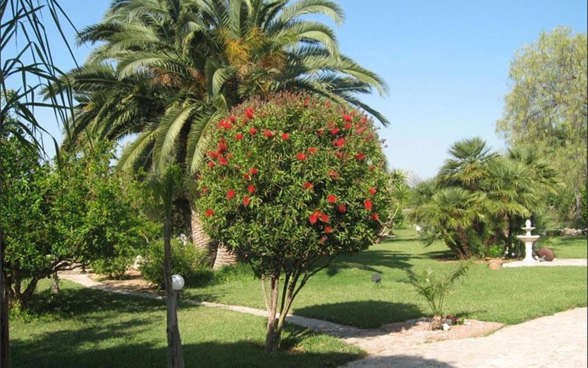A Vendre - Villa - Dénia - Denia Centro