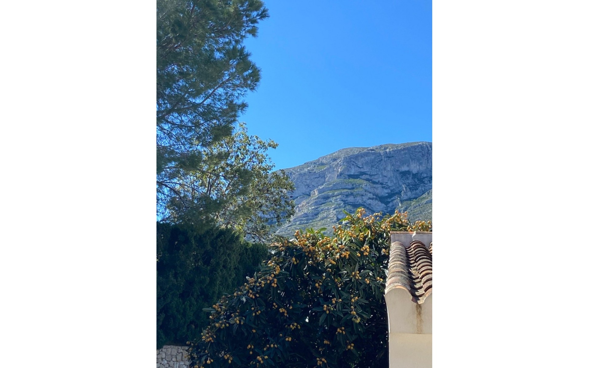 A Vendre - Villa - Dénia - Denia Centro